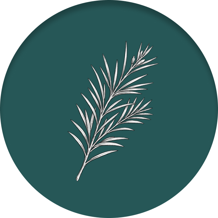 Ingredient 6