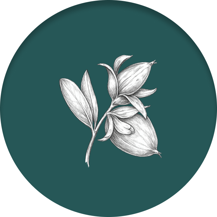Ingredient 8